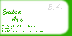 endre ari business card